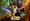 Disney kauft Lucasfilm
