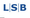 L-S-B stellt VSM vor