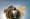 BBC News produziert VR-First-Dokumentarserie