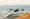 Neue DJI Air 2S mit MasterShots-Funktion