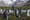 TIERWELT live geht online