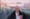 Francis Tellier, HBS, Ruhestand