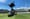 Südafrikanische Cricket-Liga vertraut auf Birds Camera Solutions