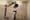 Robotic Arm von Blackcam Robotics