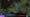 "Win Probability", gemeinsam von Riot Games und AWS entwickelt