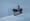 DJI Mic 2