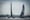 SailGP zu Gast in Cadiz