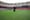 Rasenanalyse im Stadion auf Basis eines Seilkamerasystems von Birds Camera Solutions