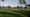 Muybridge bei der PGA Tour