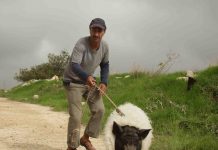 Letzte Klappe für die Kinoproduktion „When Pigs Have Wings“ Letzte Klappe für die Kinoproduktion „When Pigs Have Wings“