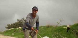 Letzte Klappe für die Kinoproduktion „When Pigs Have Wings“ Letzte Klappe für die Kinoproduktion „When Pigs Have Wings“