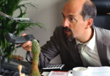 Die Filmidee muss sexy sein Die Filmidee muss sexy sein