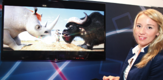 Die Stärken aus zwei Welten Die Stärken aus zwei Welten