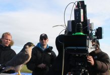 KUK Film realisiert 3D-Produktion für BBC KUK Film realisiert 3D-Produktion für BBC