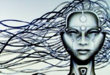 Politischer Rückenwind für IT-Gründer Politischer Rückenwind für IT-Gründer