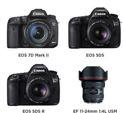 Drei Preise für Canon-Technologie Drei Preise für Canon-Technologie