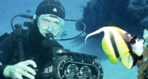 Eintauchen in die 3. Dimension Eintauchen in die 3. Dimension