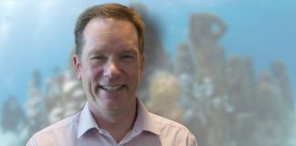 BBC Global News startet neue Video-Plattform BBC REEL BBC Global News startet neue Video-Plattform BBC REEL