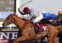 Pferdesport weiterhin bei ARD und ZDF Pferdesport weiterhin bei ARD und ZDF