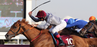 Pferdesport weiterhin bei ARD und ZDF Pferdesport weiterhin bei ARD und ZDF