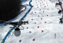 CAMCAT unterstützt Winterspiele CAMCAT unterstützt Winterspiele