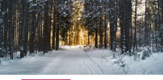 DSV und Infront erweitern langjährige Partnerschaft DSV und Infront erweitern langjährige Partnerschaft