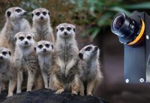 Camera Corps stellt Mini-HD-Cam vor Camera Corps stellt Mini-HD-Cam vor