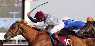 Pferderennen mit EVS-Technik Pferderennen mit EVS-Technik