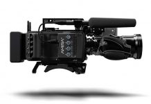 IBC-Highlight Amira IBC-Highlight Amira