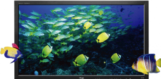 Neuer 2D/3DMonitor von TVlogic ist verfügbar Neuer 2D/3DMonitor von TVlogic ist verfügbar