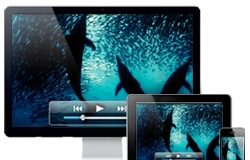 Brightcove kooperiert mit Rovi Brightcove kooperiert mit Rovi