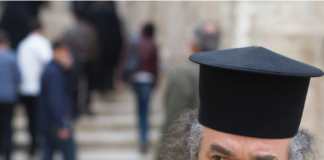 Factsheets, Clips und Vine Videos Factsheets, Clips und Vine Videos