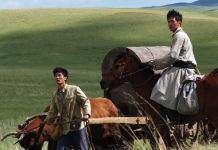 Kooperation mit China Kooperation mit China