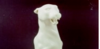 Bayerische Fernsehpreise vergeben Bayerische Fernsehpreise vergeben