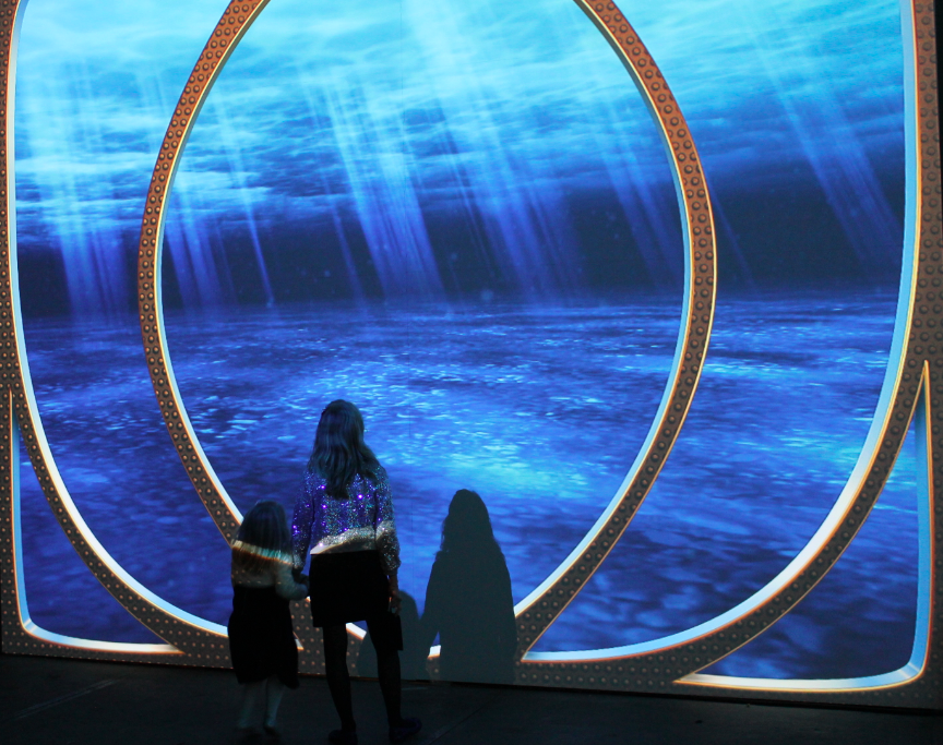 Video-Installation