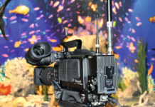 Robustheit und Balance Robustheit und Balance