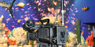 Robustheit und Balance Robustheit und Balance