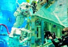 Schnell und möglichst flexibel Schnell und möglichst flexibel