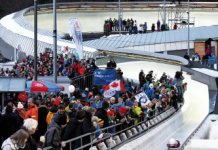 Arbeit an der Schlangengrube Arbeit an der Schlangengrube