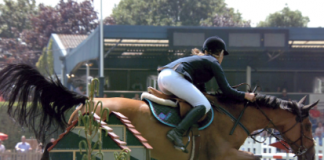 I-Movix Ultra-Slomo bei Pferdesport-Produktion I-Movix Ultra-Slomo bei Pferdesport-Produktion