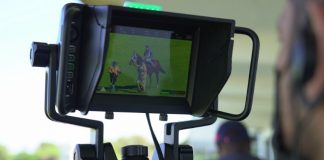 Pferderennen in 4K ©BMD