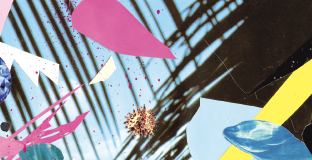 Bimediale Programmstrategien Bimediale Programmstrategien