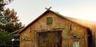 Sat.1 startet TV-Experiment „Newtopia“ Newtopia