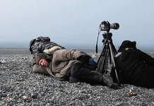 Neue Doku-Technik von Wim Wenders Das Salz der Erde / Juliano Ribeiro Salgado / NFP