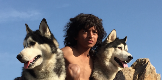 DDP-Zentralspeicher bei ZDF 4K/VR–Eigenproduktion DDP-Zentralspeicher bei ZDF 4K/VR–Eigenproduktion