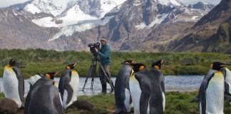 TIERWELT live geht online TIERWELT live geht online