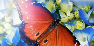 25 Jahre deutsches Satellitenfernsehen 25 Jahre deutsches Satellitenfernsehen