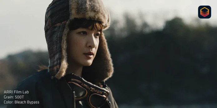 ARRI Film Lab Plugin Ansicht