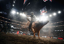 wedotv sports baut Livesport-Portfolio aus Pro Bull Riding